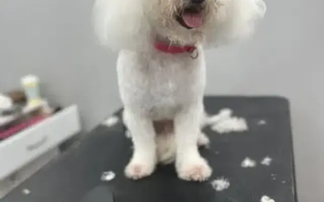 EarthWise Pet Supply & Grooming in Flower Mound, TX