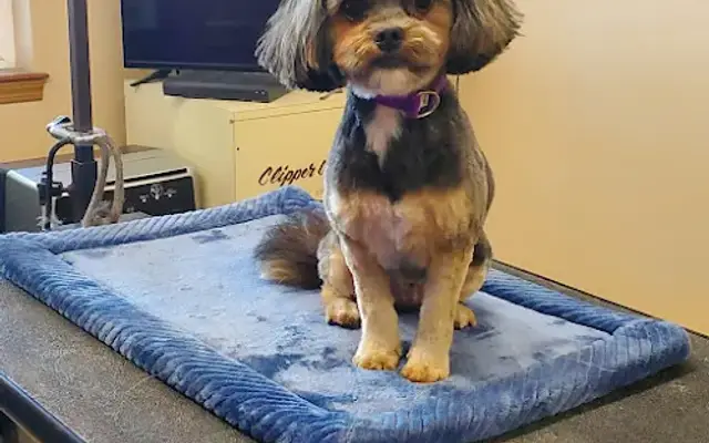 Jee Jac Kennels in Burlington, WA