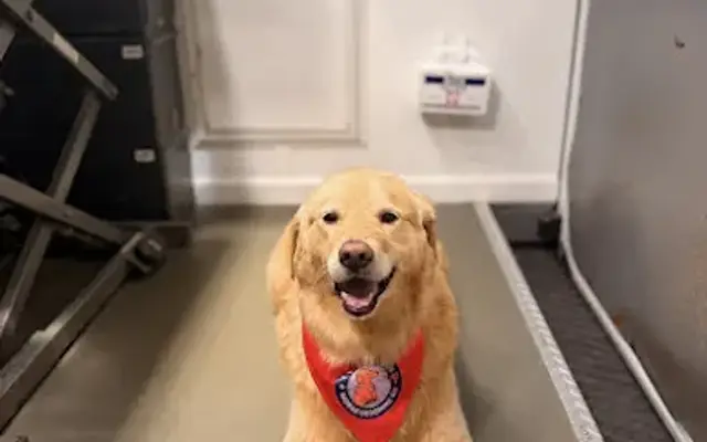 Benny's Mobile Grooming Company in Southampton Township, NJ