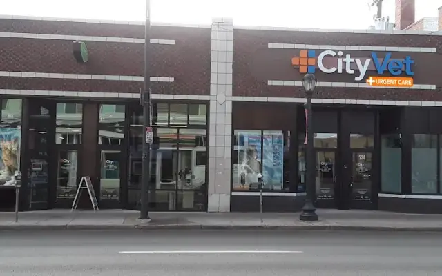 CityVet | Capitol Hill Veterinary Clinic & Urgent Care in Denver, CO
