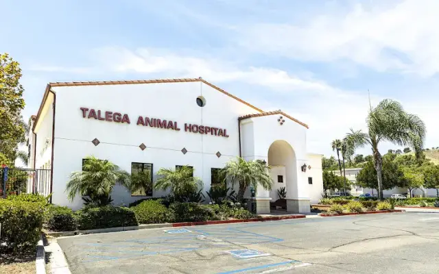 Talega Animal Hospital in San Clemente, CA