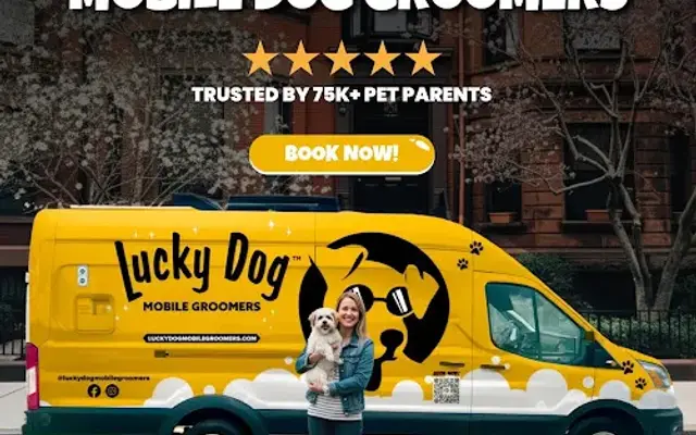 Lucky Dog Mobile Groomers - Philadelphia in Topton, PA