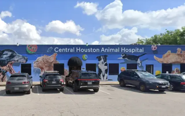 Central Houston Animal Hospital in Houston, TX