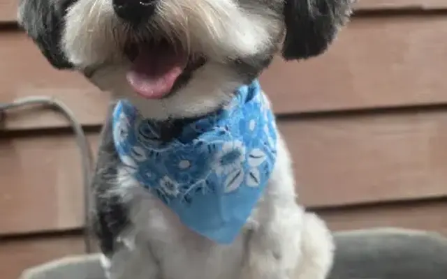 Ruffff to Pawfect in Columbus, NC