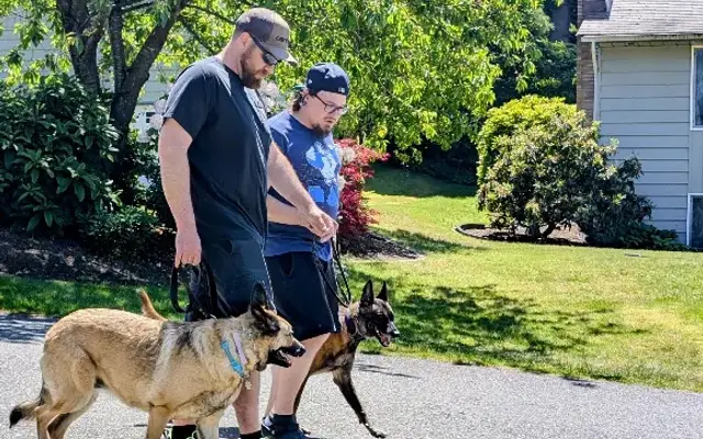 Moore K9 Services in Granite Falls, WA