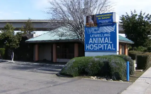 VCA Lewelling Animal Hospital in San Leandro, CA