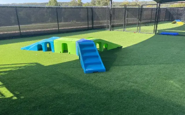 Mercy Pet Resort in Leander, TX