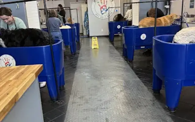 DIY Pet Self Wash ( Do it yourself pet self wash). in Reseda, CA