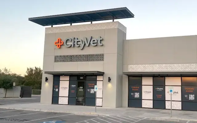 CityVet | Leon Springs in San Antonio, TX