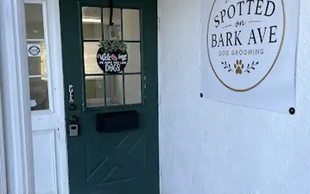 Spotted on Bark Ave in Zephyrhills, FL