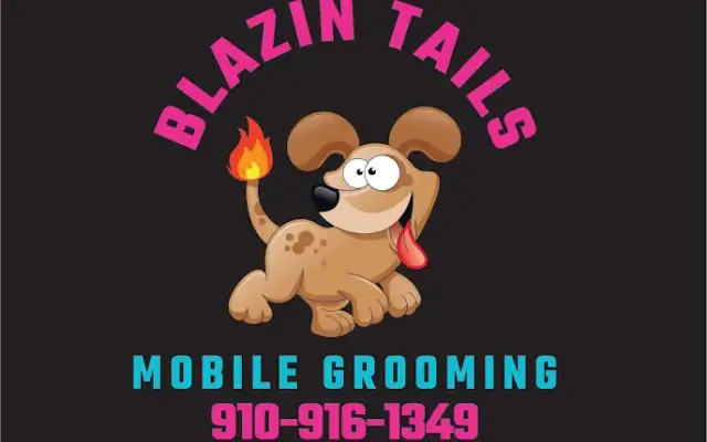 Blazin Tails Mobile Dog Grooming LLC in Fayetteville, NC