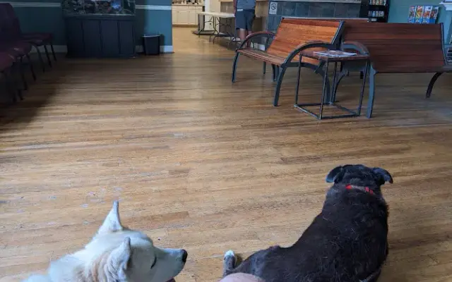 Heart of Georgia Animal Care in Milledgeville, GA