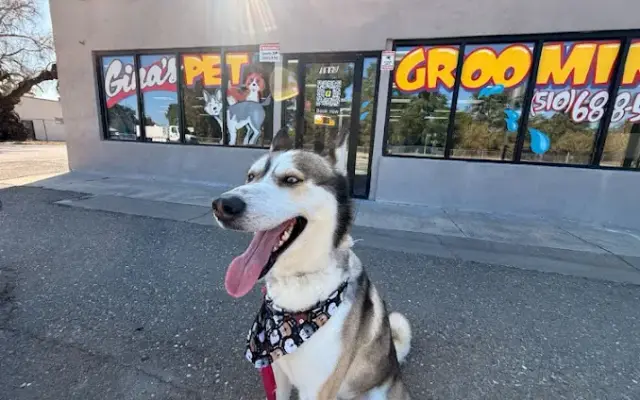 Gina's Clean & Cozy Petcare in Castro Valley, CA