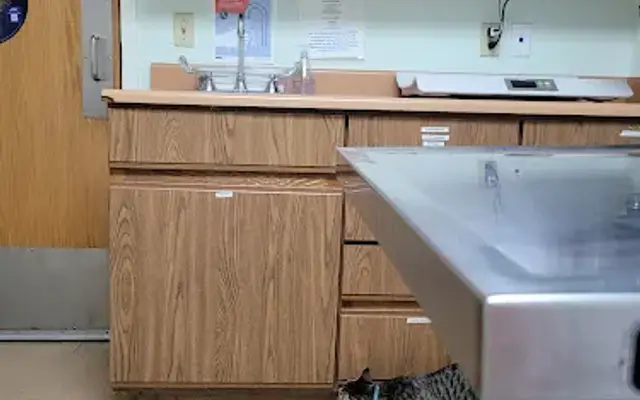 VCA Southeast Area Animal Hospital in Denver, CO