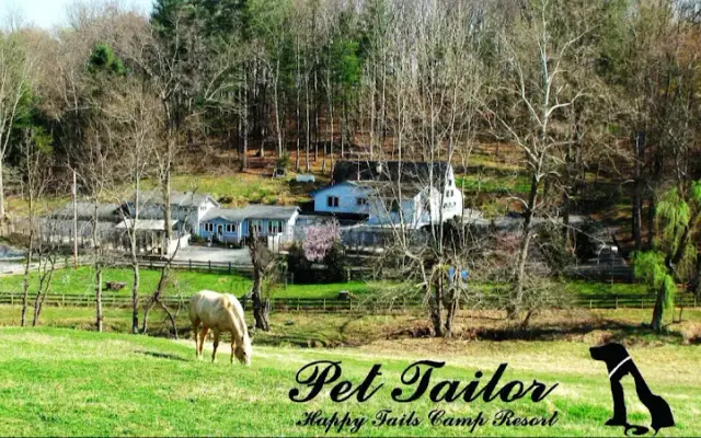 Pet Tailor in Castleton, VA