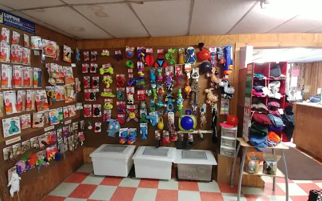 Mount Tully Kennels in Orange, MA