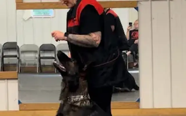 Lather And Leash K9 in Wayland, NY