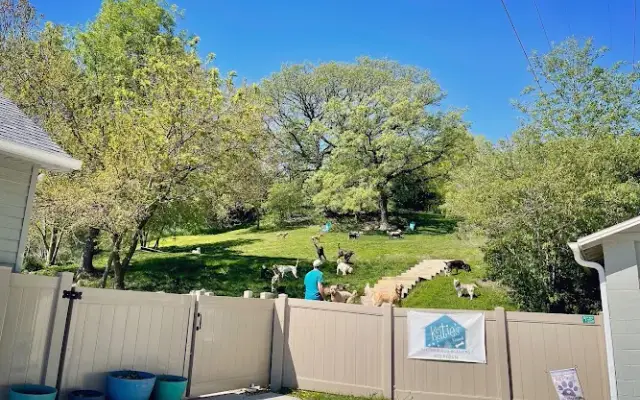 Katie's Kennel, Inc. in Omaha, NE