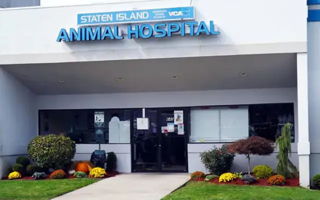 Staten Island Animal Hospital in Staten Island, NY