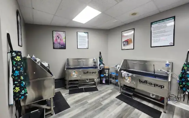 Buff-A-Pup Wash in Calera, AL