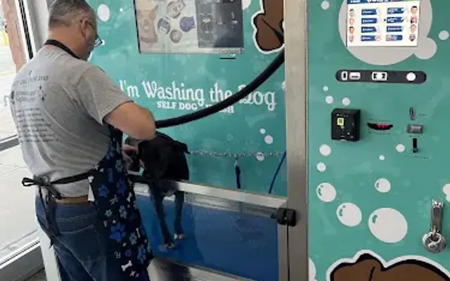 I'm Washing the Dog in Uncasville, CT