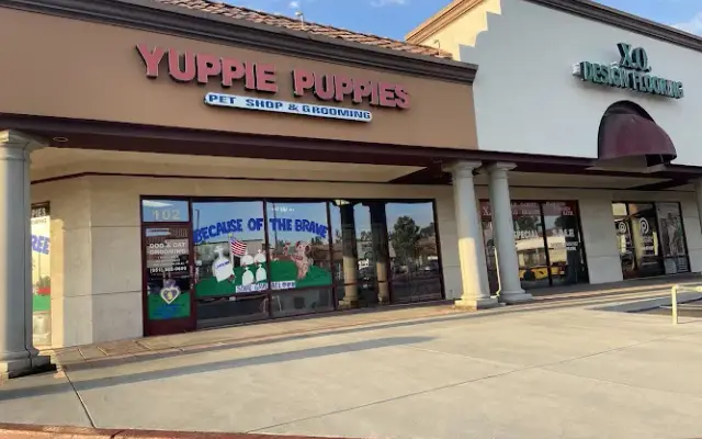Yuppie Puppies Grooming in Corona, CA