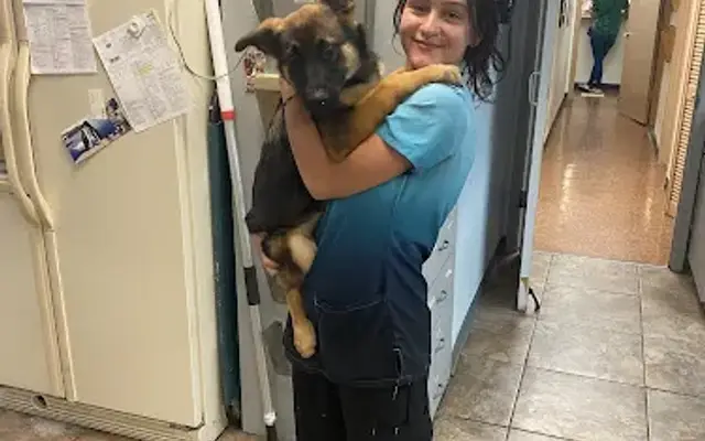 Union Park Animal Hospital and Urgent care in Union Park, FL