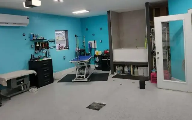 Simply Pawfect pet spa in Boyne City, MI