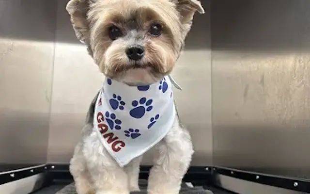 Woof Gang Bakery & Grooming Sunset in Miami, FL