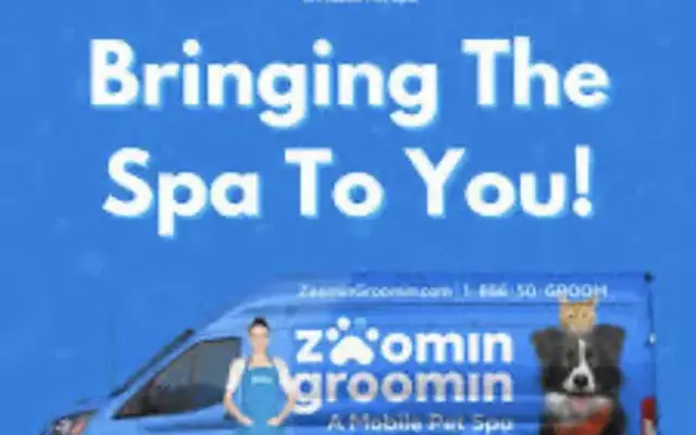 Zoomin Groomin Seminole County in Kissimmee, FL