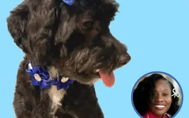 Doggy Styles Grooming Parlor in Canton, MS
