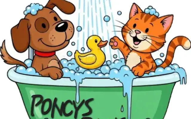 Poncy paws in El Monte, CA