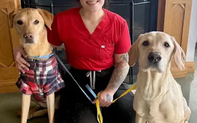 Star Pet Grooming of Muskego in Muskego, WI