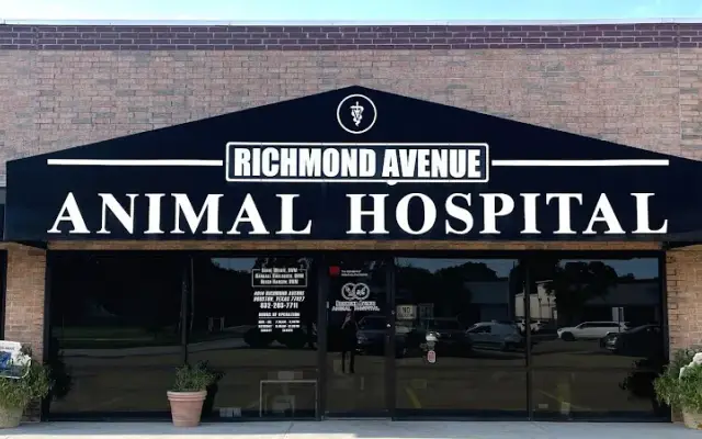 Richmond Avenue Animal Hospital in Houston, TX