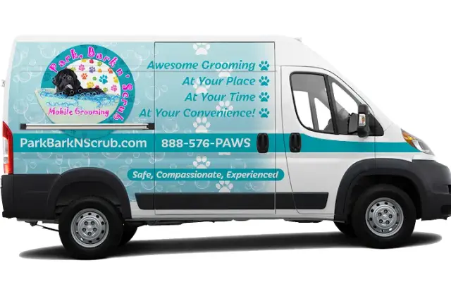 Park, Bark n' Scrub in Bailey's Crossroads, VA