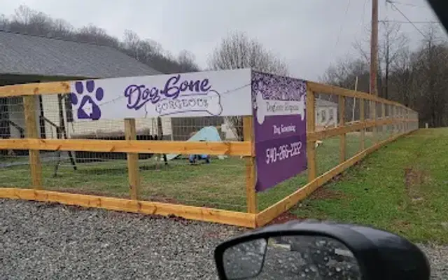 DogGone Gorgeous in Hardy, VA