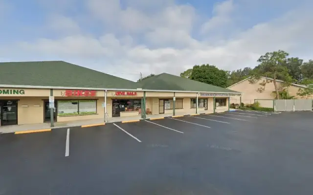 Pet Grooming in Port, FL