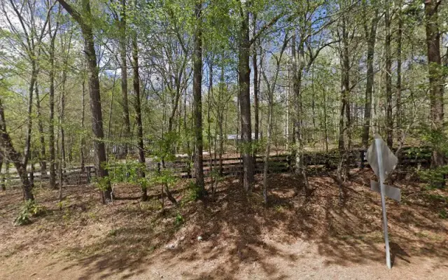 Canine Specialists in Cumming, GA