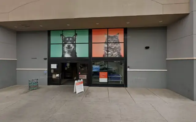 PetSmart Grooming in Albuquerque, NM
