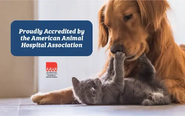 Shinnecock Animal Hospital in Hampton Bays, NY