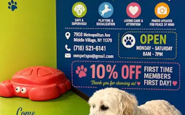 M&M Pet Boutique & Supplies in Middle Village, NY