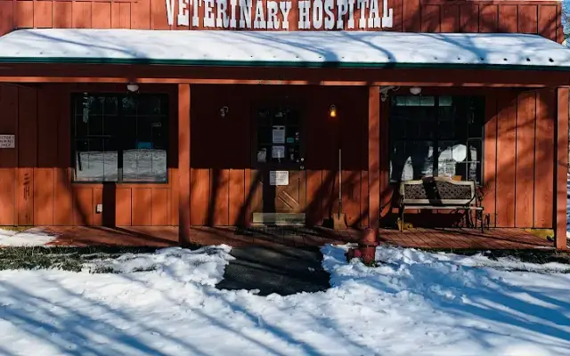 Tupelo Veterinary Hospital in Tupelo, MS