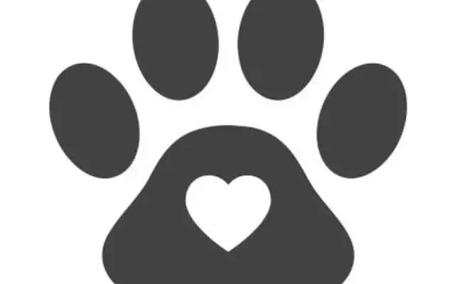 Paw and claw grooming in Zephyrhills, FL