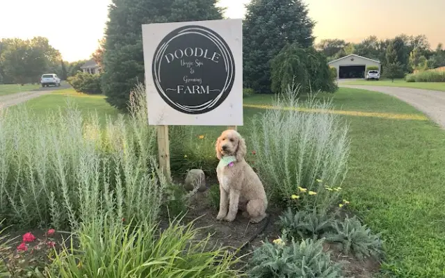 Doodle Farm Doggie Spa & Grooming in Munith, MI