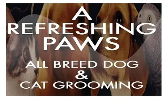 A Refreshing Paws in Merrimac, MA