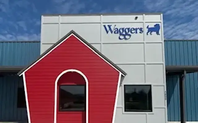 Waggers doggy daycare, boarding, & grooming in Fayetteville, AR