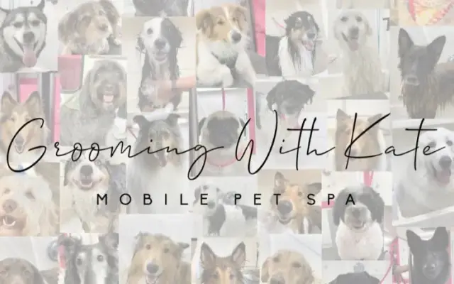 Grooming With Kate Mobile Pet Spa in Holly, MI