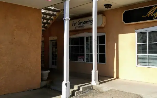 Pet Grooming By Marcell in Rio Rancho, NM