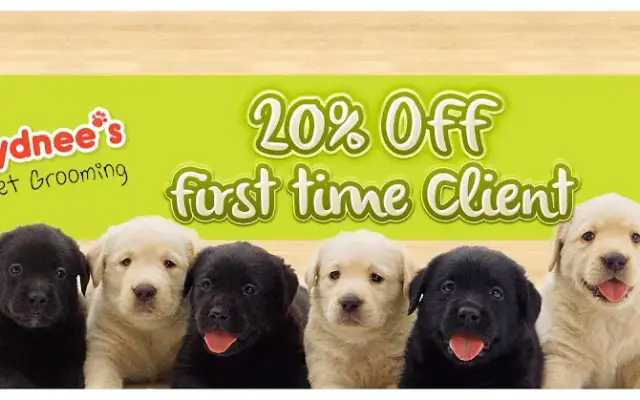 Sydnee's Pet Grooming - San Clemente in San Clemente, CA