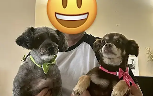 Pawleashed pet spa in Los Angeles, CA